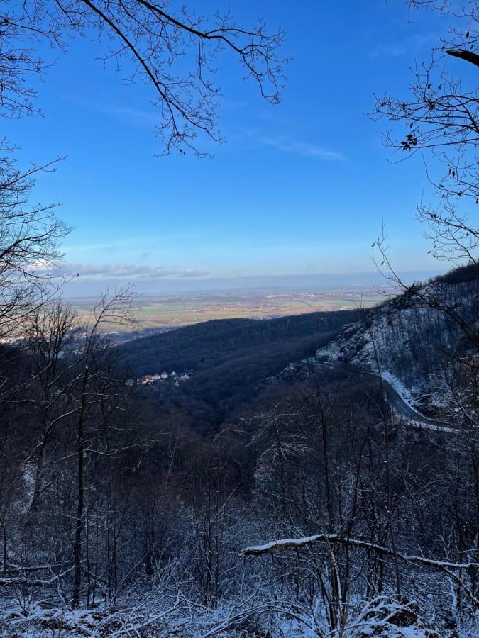 Wanderer Unterkunft Am Hexentanzplatz O Thale Exterior foto
